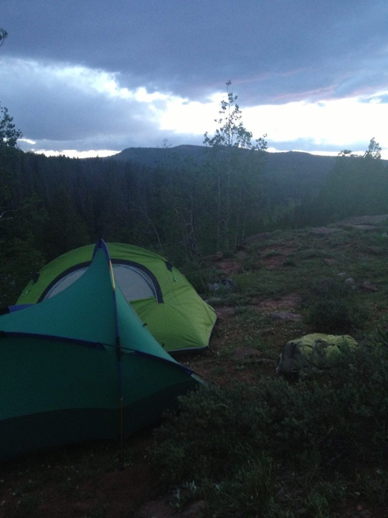 The WildLife Piney Lake 303 Magazine