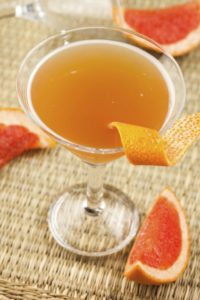 Bronx Gin and Orange Juice Cocktail
