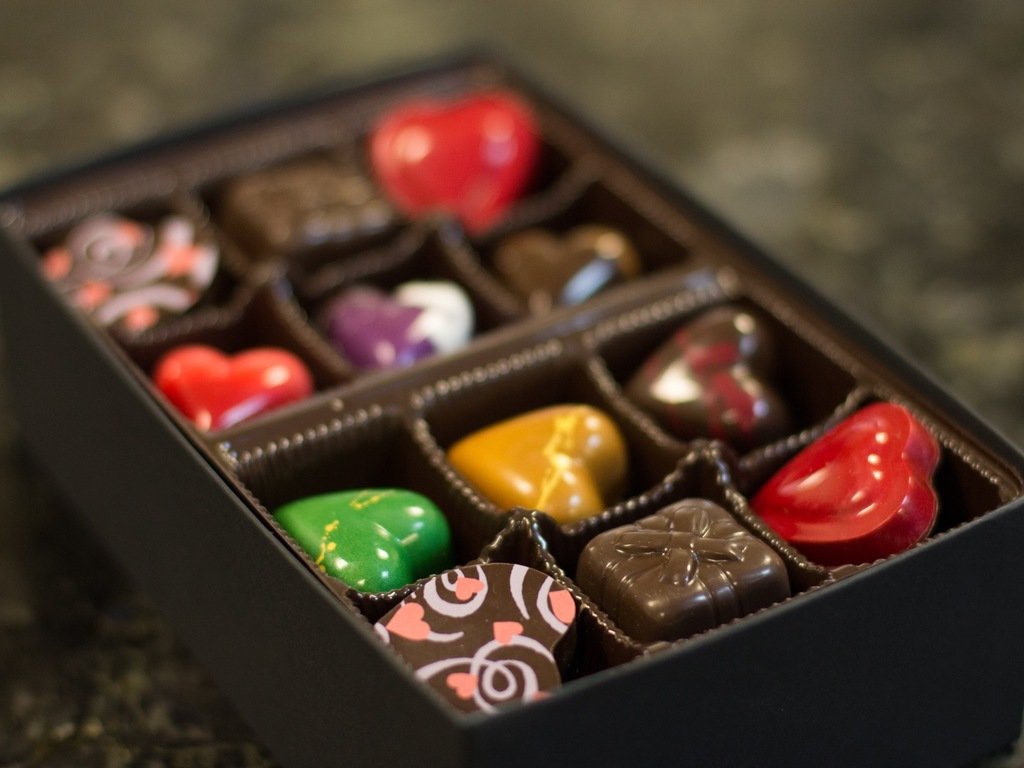 Robin Chocolates. Photo by Camille Breslin.