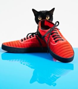 courtesy of vogue.com's "31 days of Cats and Flats"