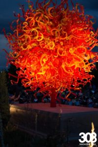 Chihuly-1