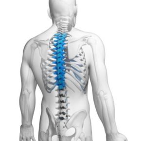 303 thoracic I