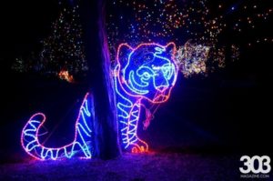 Zoo Lights, photo by Lindsey Bartlett (01)