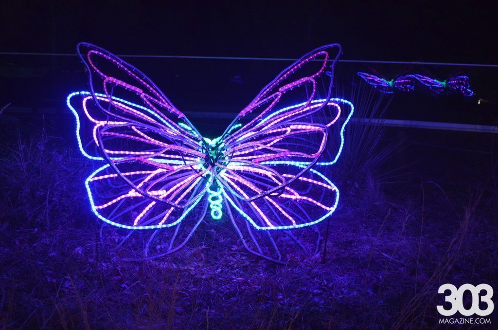 Zoo Lights, photo by Lindsey Bartlett (67)