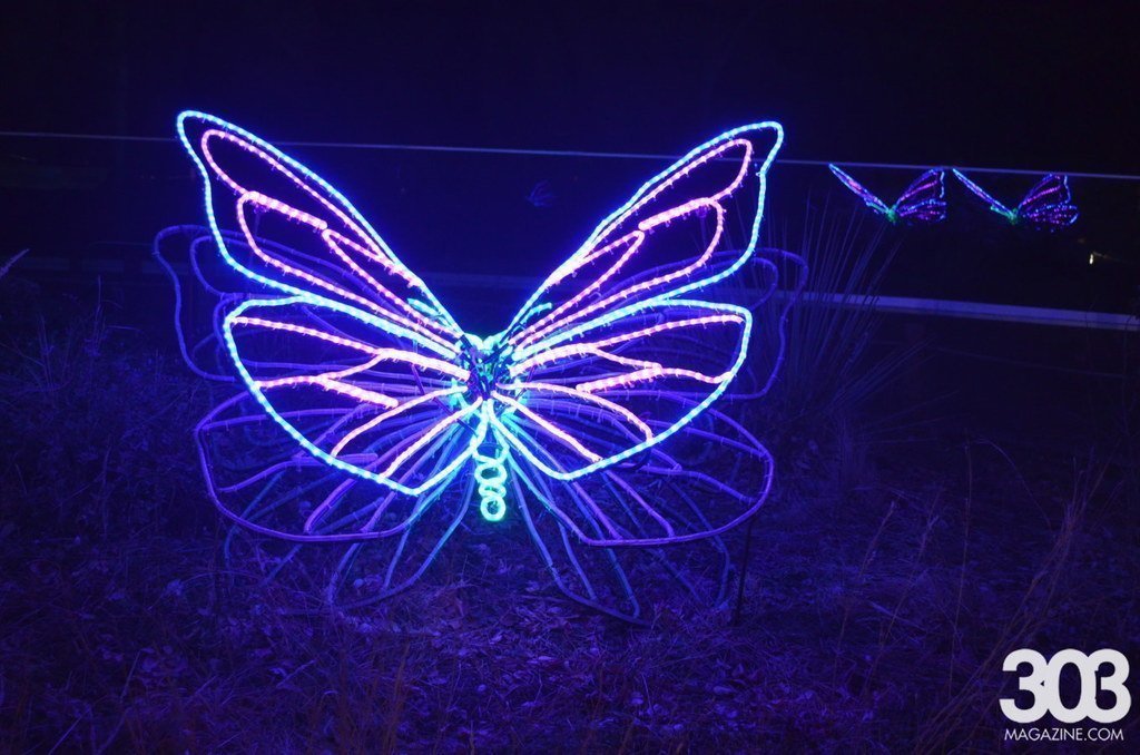 Zoo Lights, photo by Lindsey Bartlett (68)