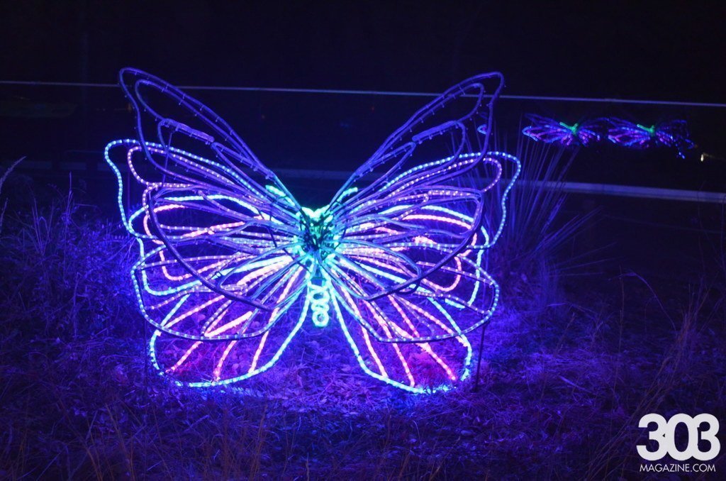 Zoo Lights, photo by Lindsey Bartlett (69)
