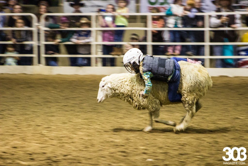 Rodeo at NWSS, photos by Kim Baker.