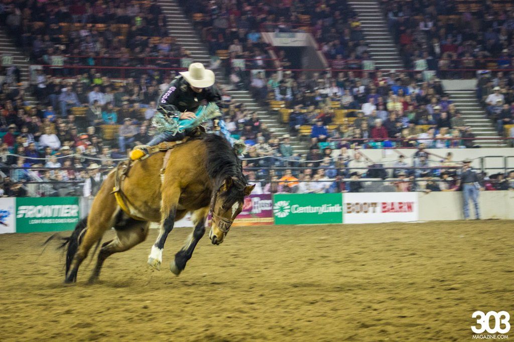 Rodeo at NWSS, photos by Kim Baker 