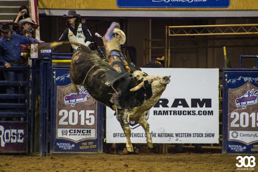 Rodeo at NWSS, photos by Kim Baker.