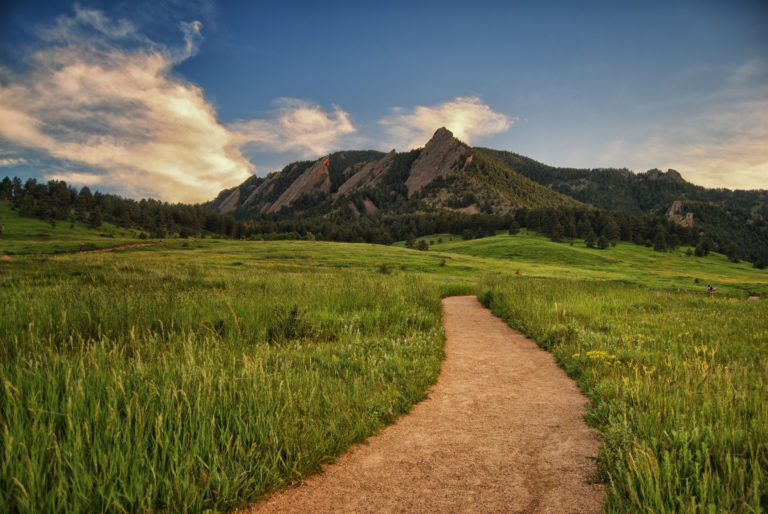 Top 10 Nearby DogFriendly Hikes in Colorado 303 Magazine