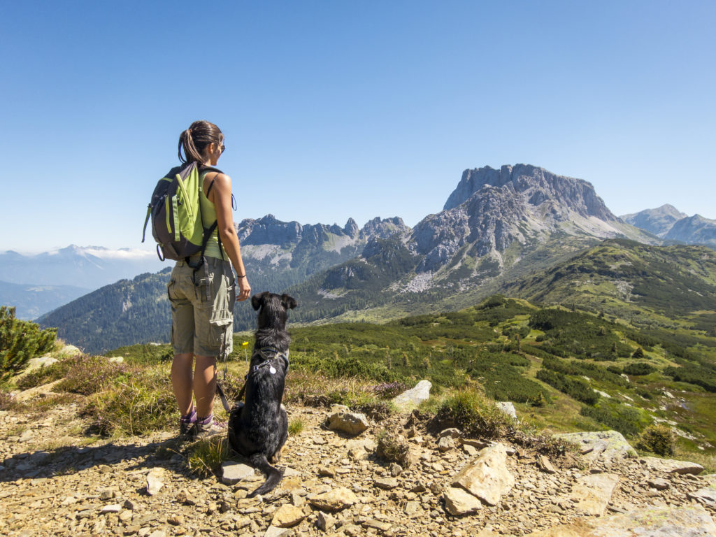 Places to hike with outlet a dog near me