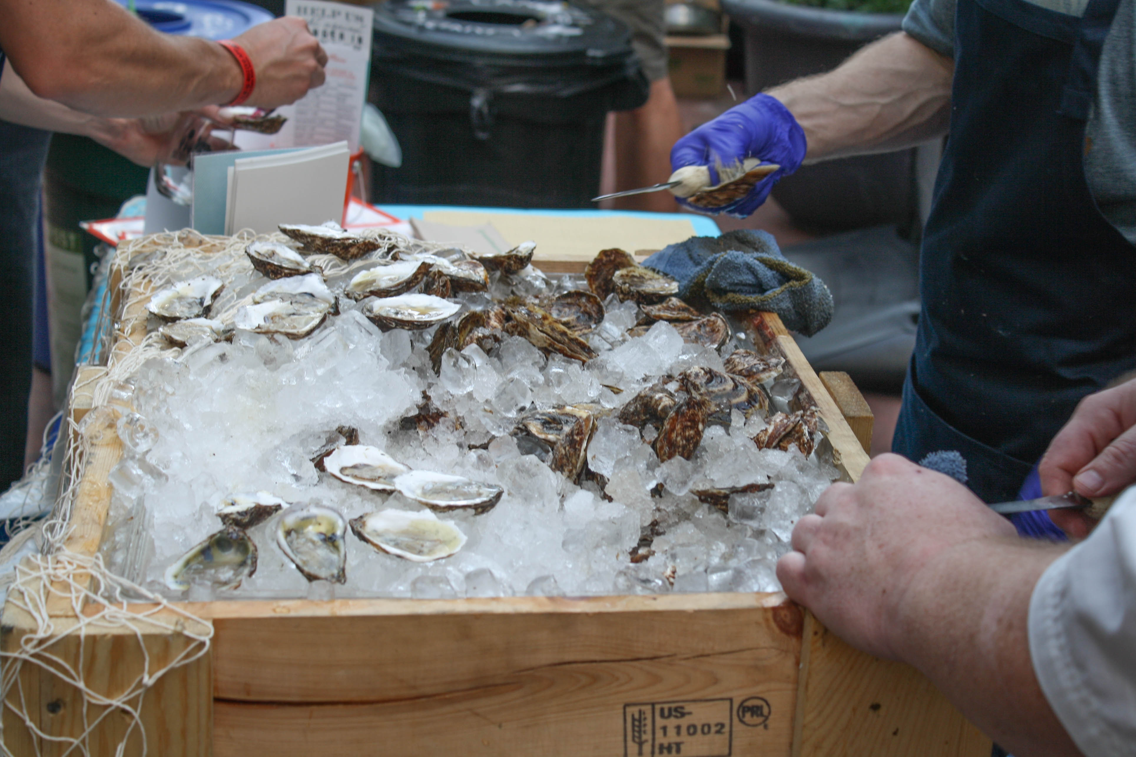 Shucking oysters at Jax Fish House. 