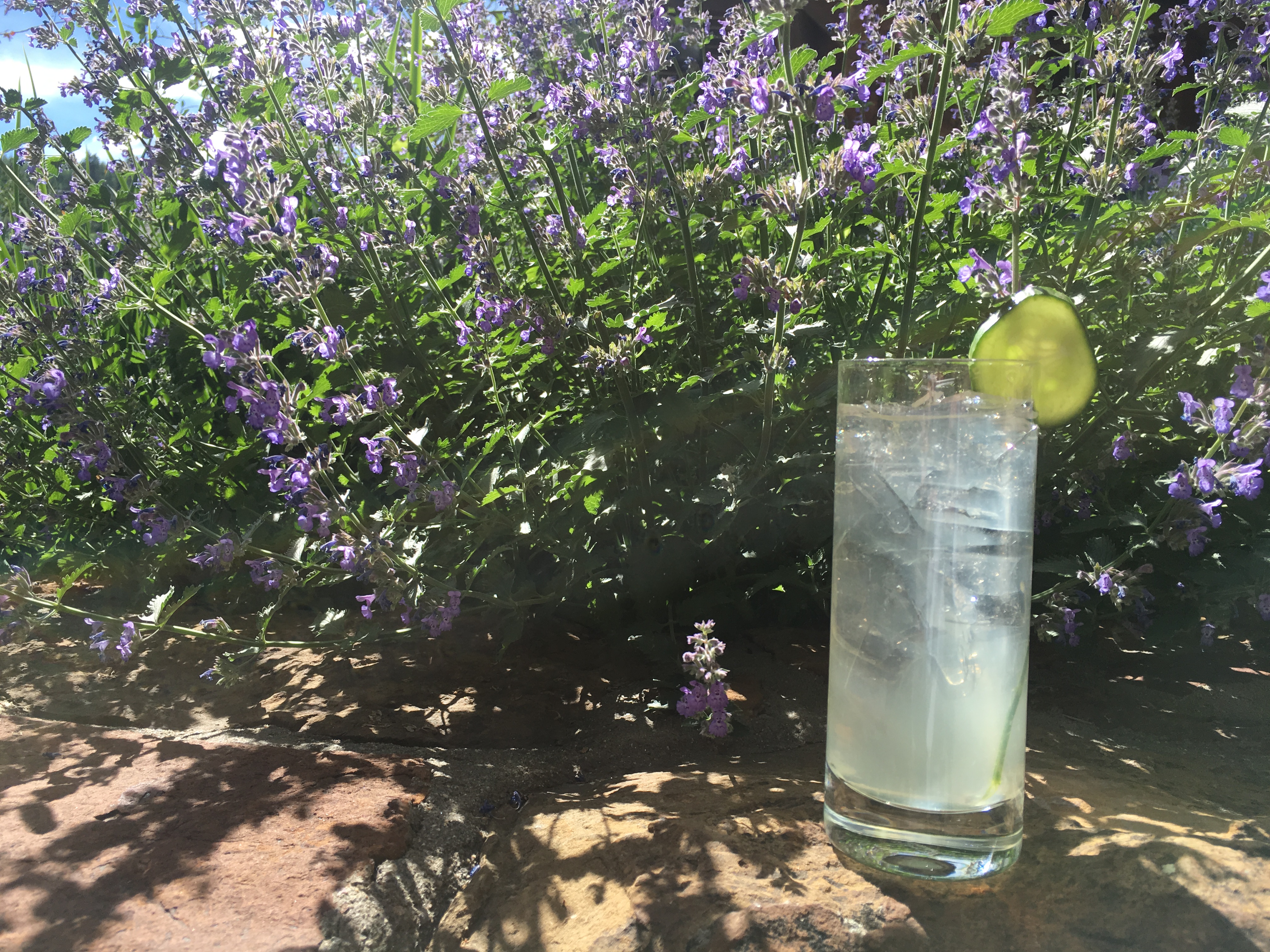 Enjoy a wildflower-inspired cocktail. Photo courtesy of The RItz Carlton Bachelor Gulch.