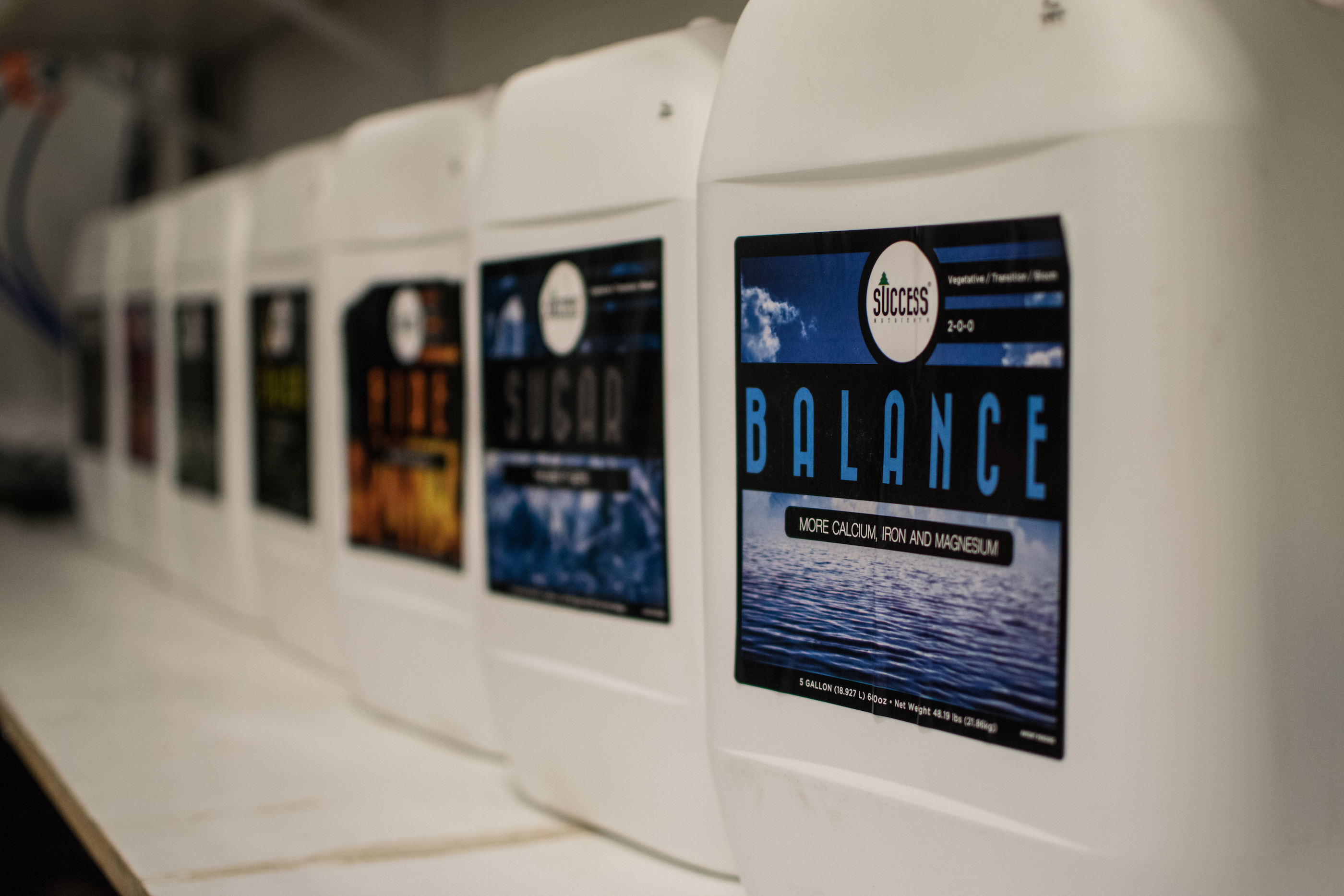 Joshua Haupt, Success Nutrients, Sina Ghozati