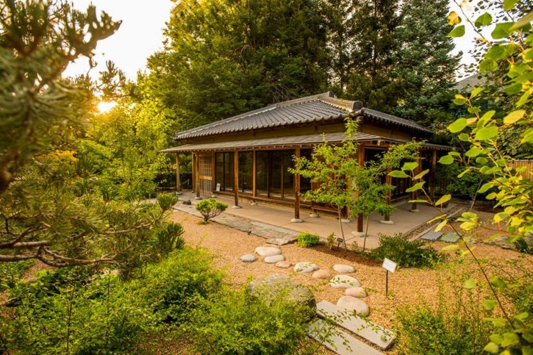 CU Denver Block Party and 9 Other Events in Denver This Week