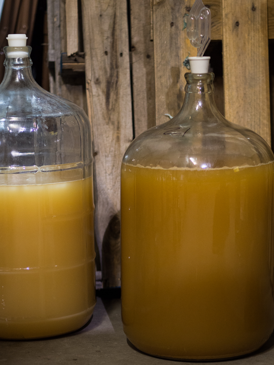 Fermentation