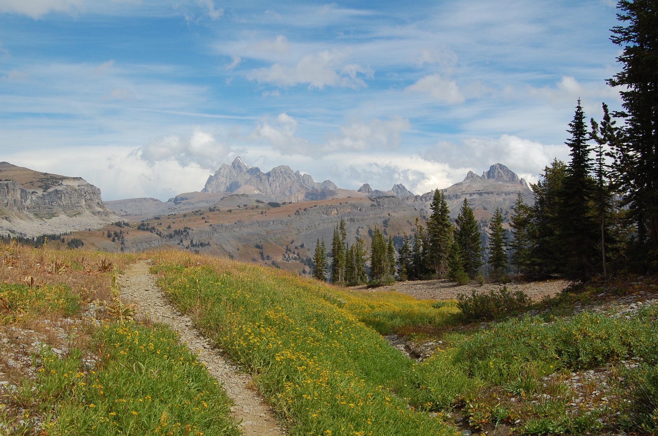 Everything You Need to Know For a Trip to Grand Teton National