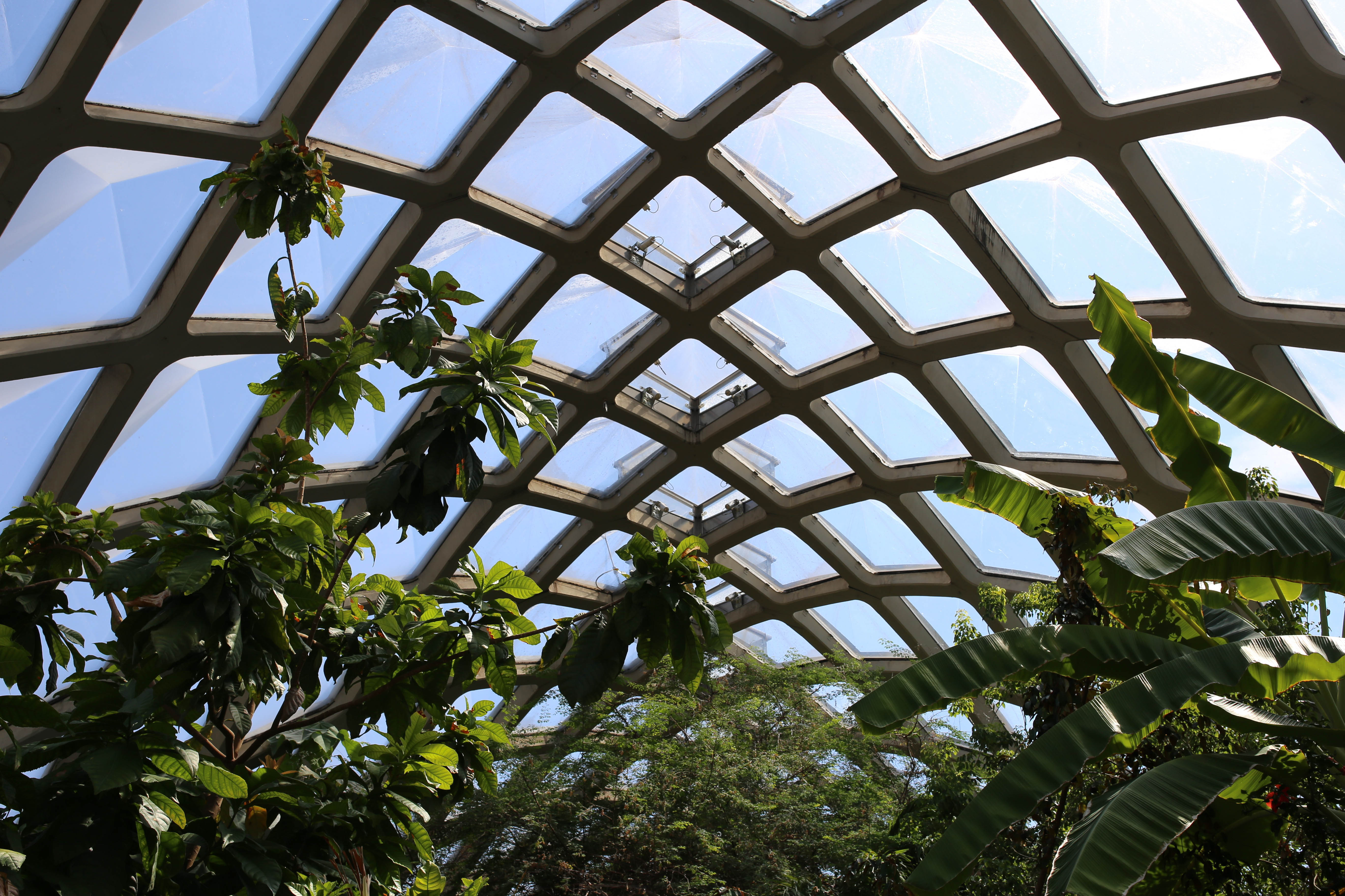 Architecture Denver, Denver architecture history, photos of denver architecture, 303 magazine, Danielle Webster