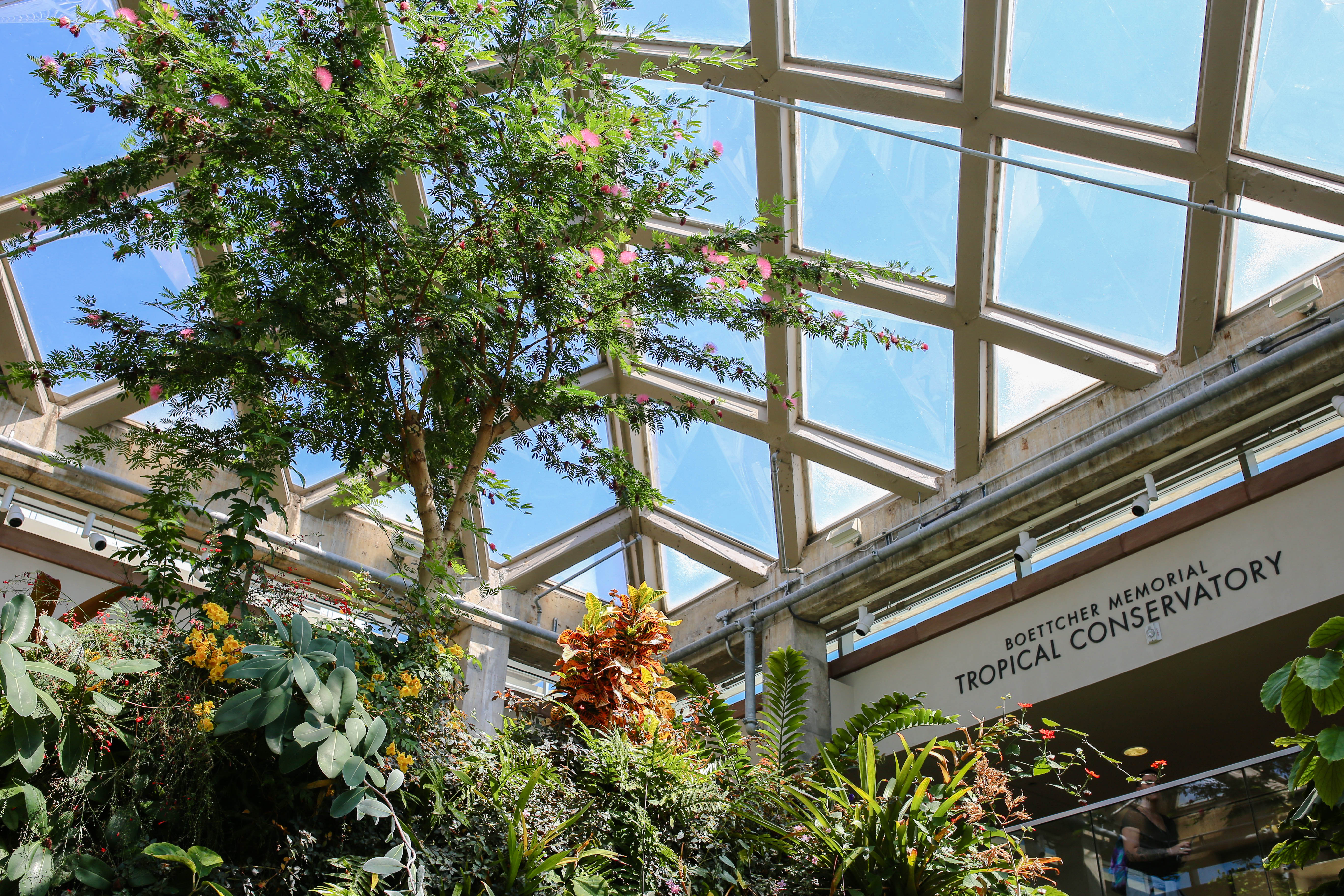 Architecture Denver, Denver architecture history, photos of denver architecture, 303 magazine, Danielle Webster