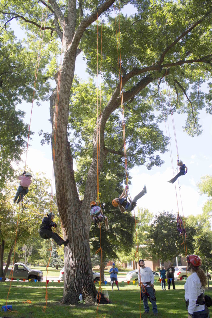We Tried It Tree Climbing Classes 303 Magazine