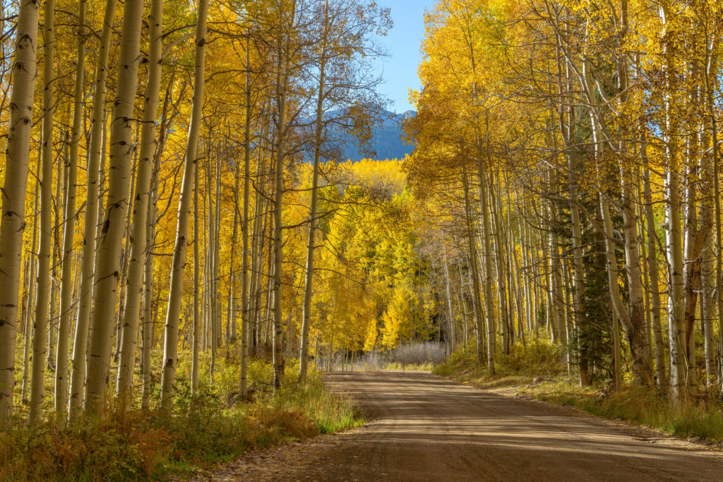 How To Experience The Changing Colors On An Atv This Fall - 303 Magazine