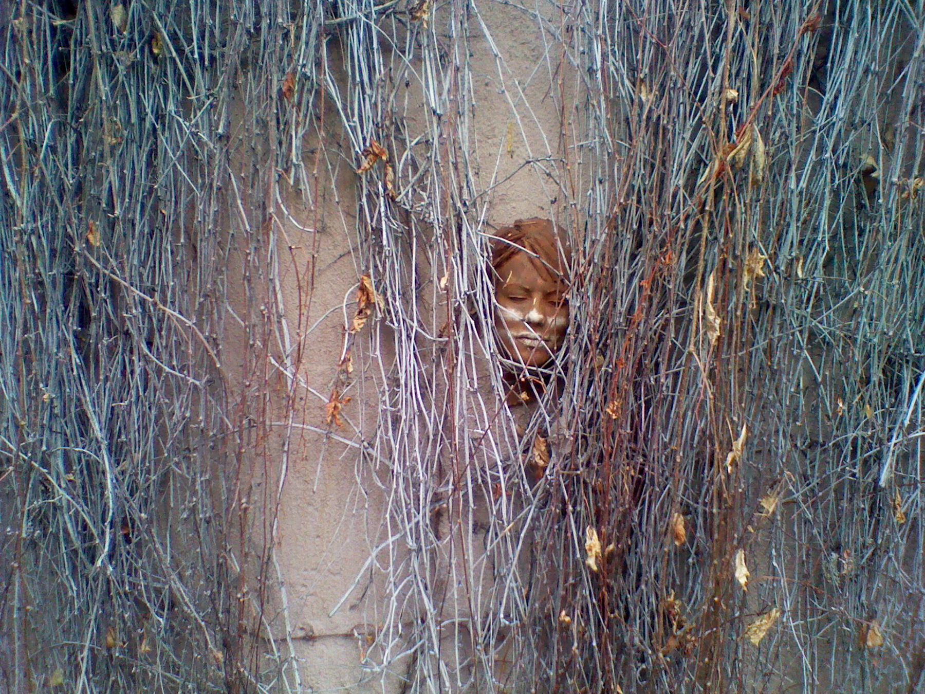 The Face hidden along the Cherry Creek Trail in Denver. Image courtesy of The Impossible Winterbourne.