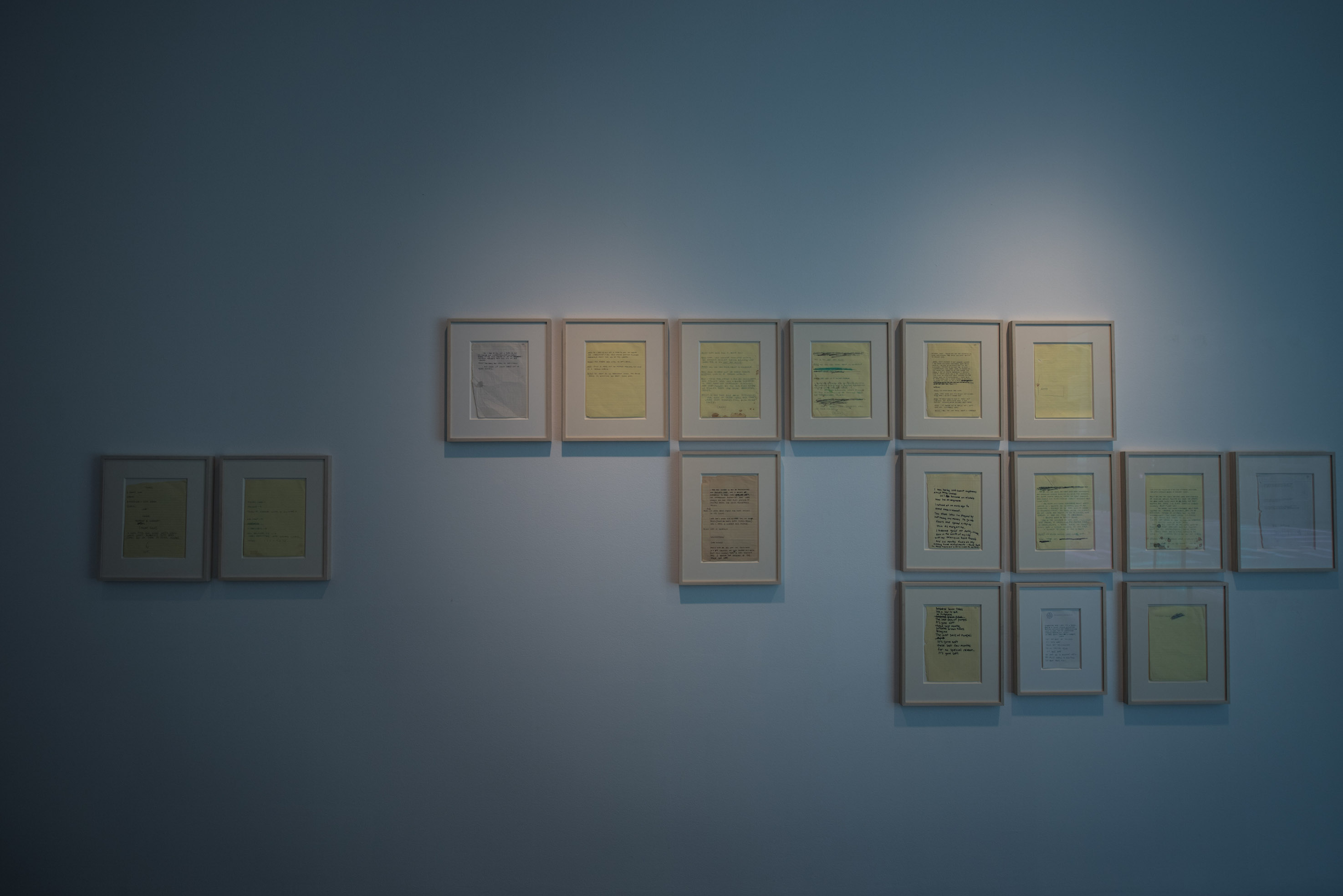 Nick Annis, Cori Anderson, 303 Magazine, Basquiat, MCA Denver