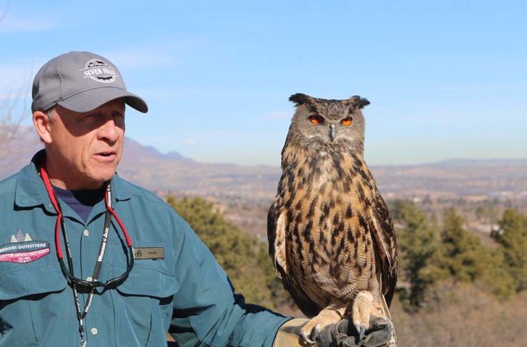 8 of the Wildest Animal Experiences You Can Have in Colorado