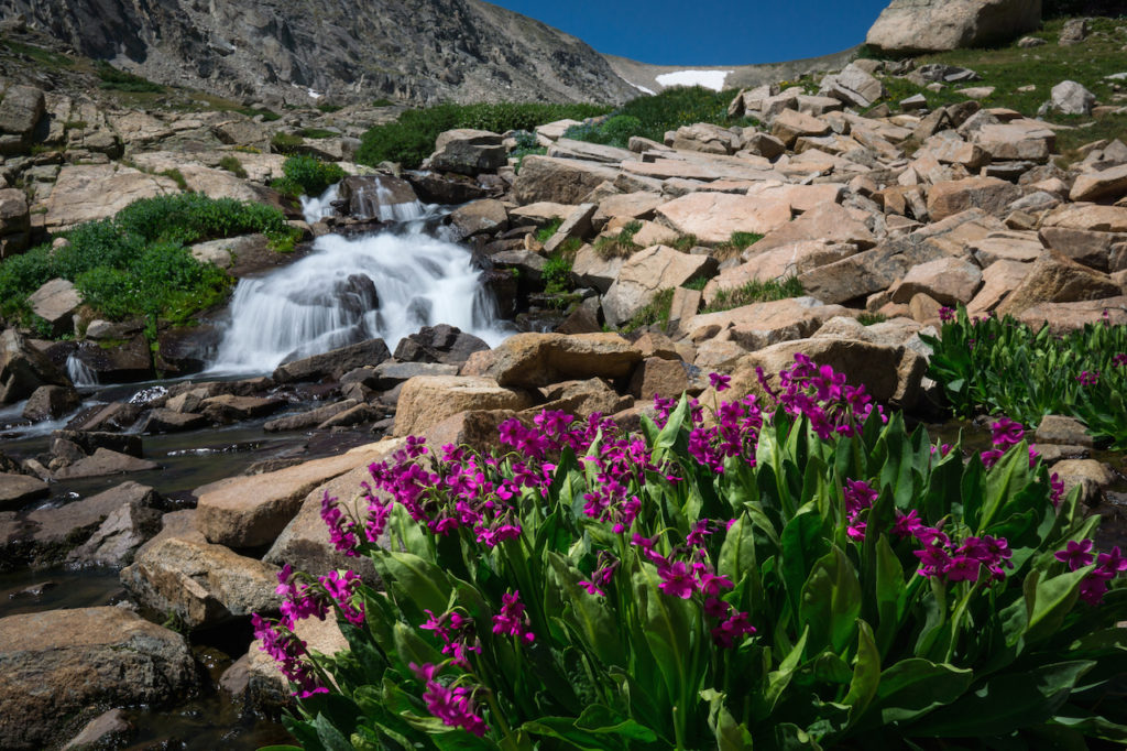9 Best Hikes to See Wildflowers This Spring and Summer 303 Magazine