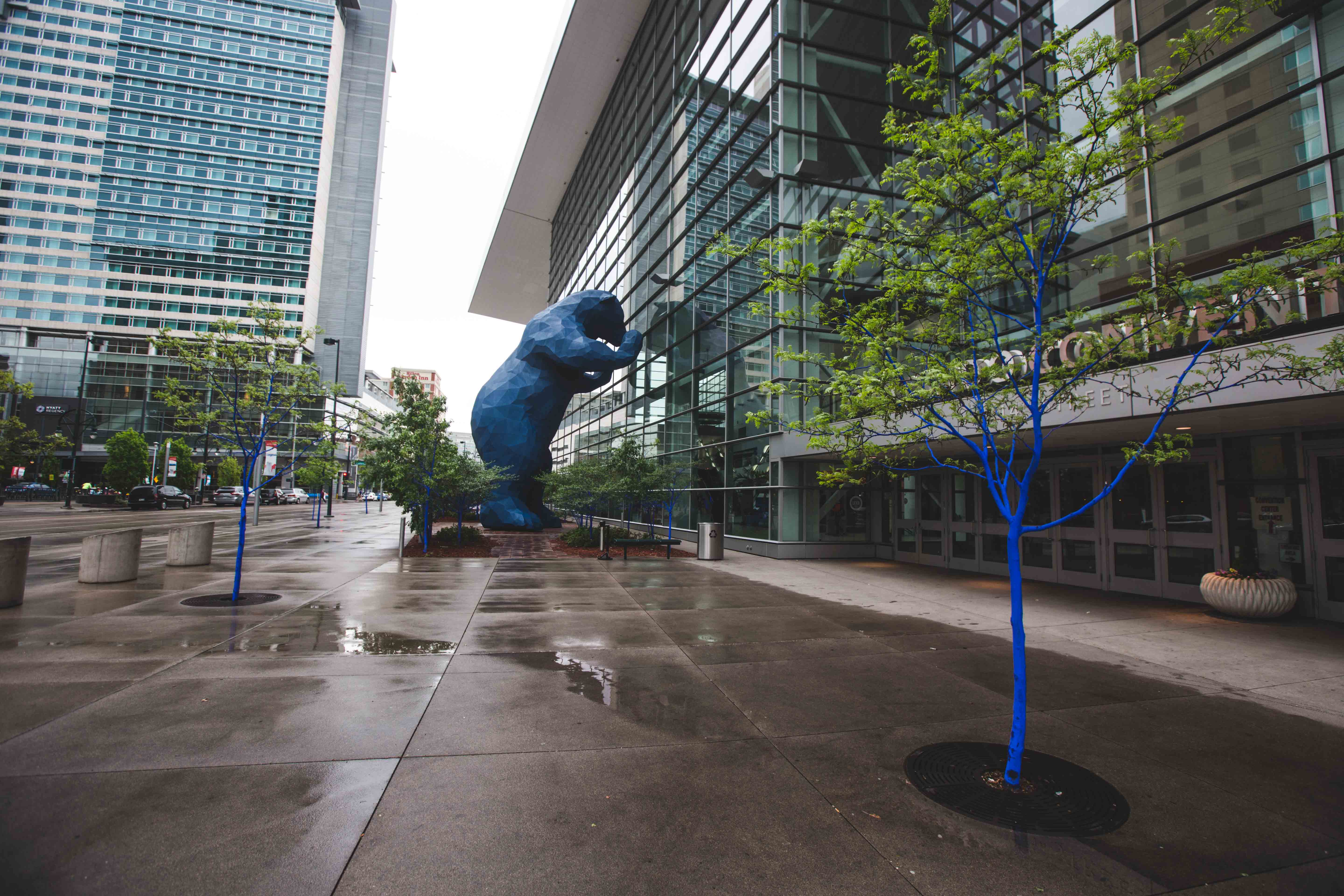 Konstantin Dimopoulos, Denver Blue Trees, Kyle Cooper, 303 Magazine