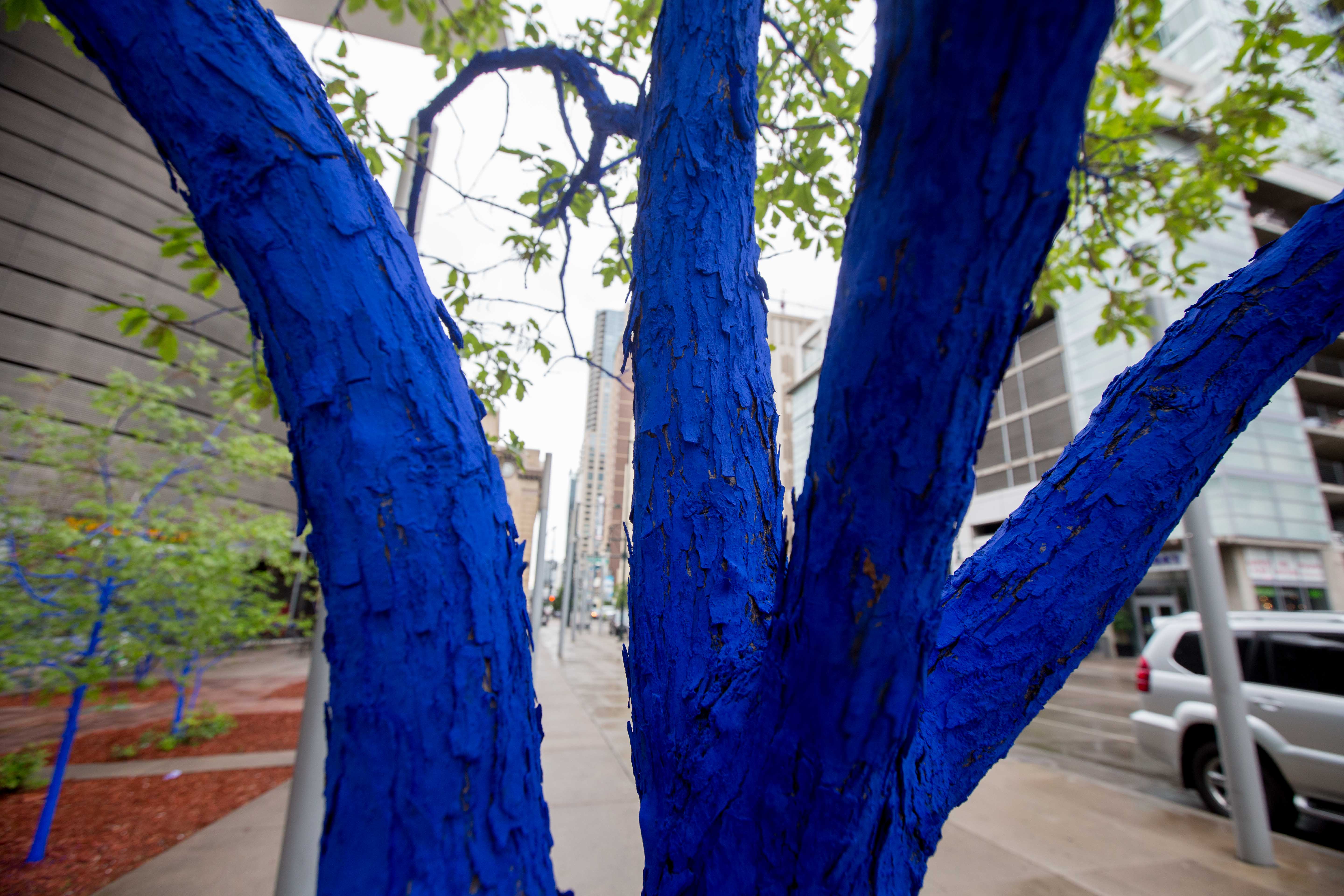 Blue Trees Denver, Konstantin Dimopoulos, Kyle Cooper, 303 Magazine