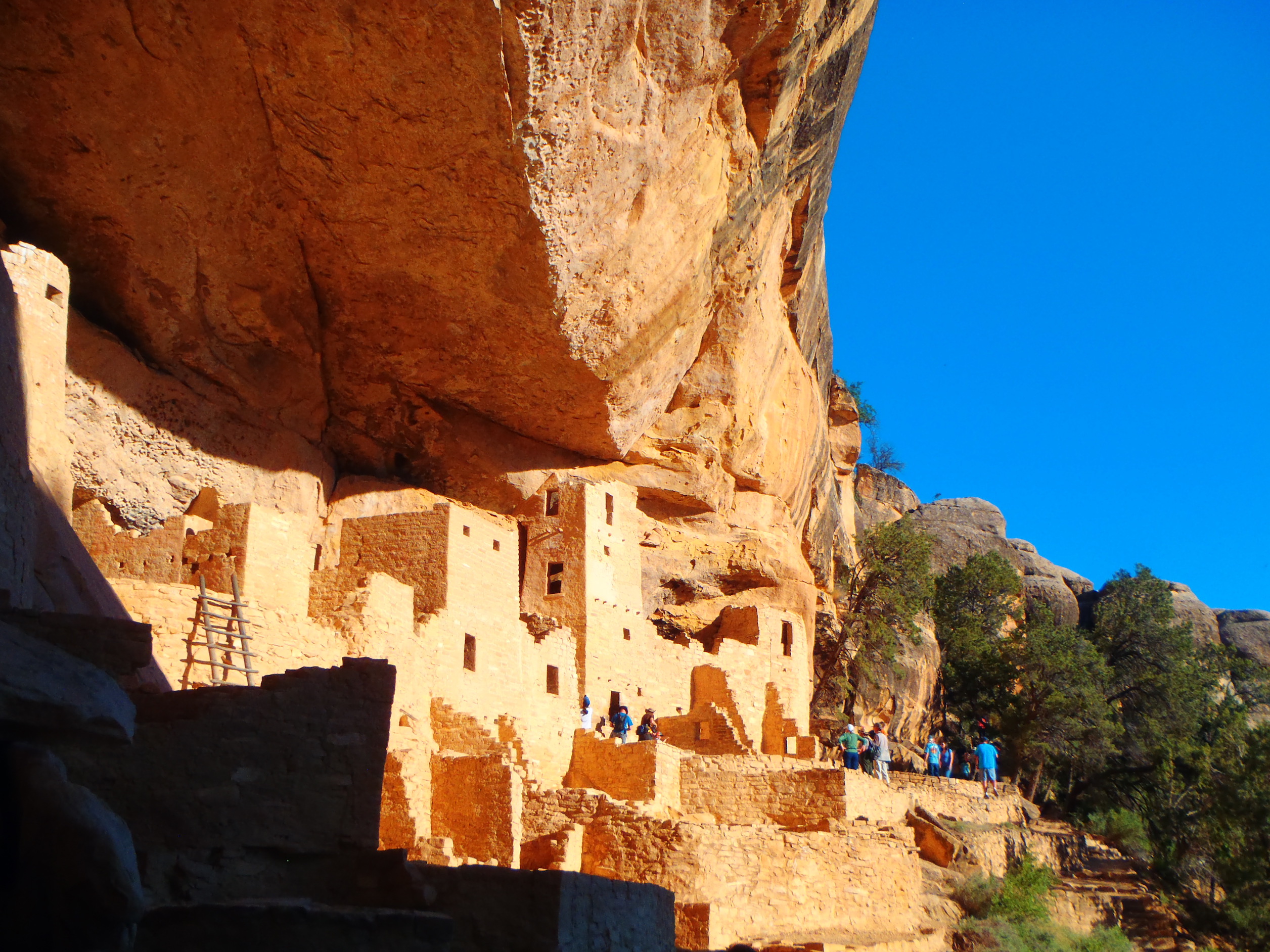can you visit mesa verde in march