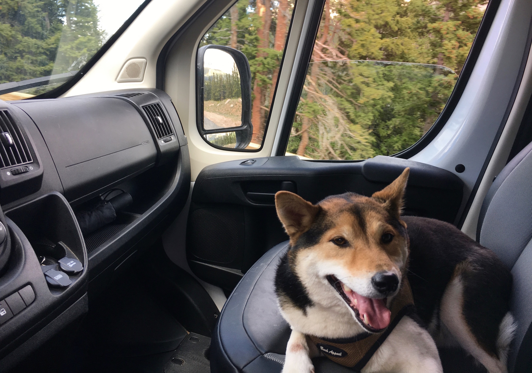 Solo Adventure Colorado, Cori Anderson, 303 Magazine