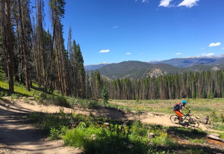 13 Beginner Mountain Biking Trails That Won't Kill You 303 Magazine