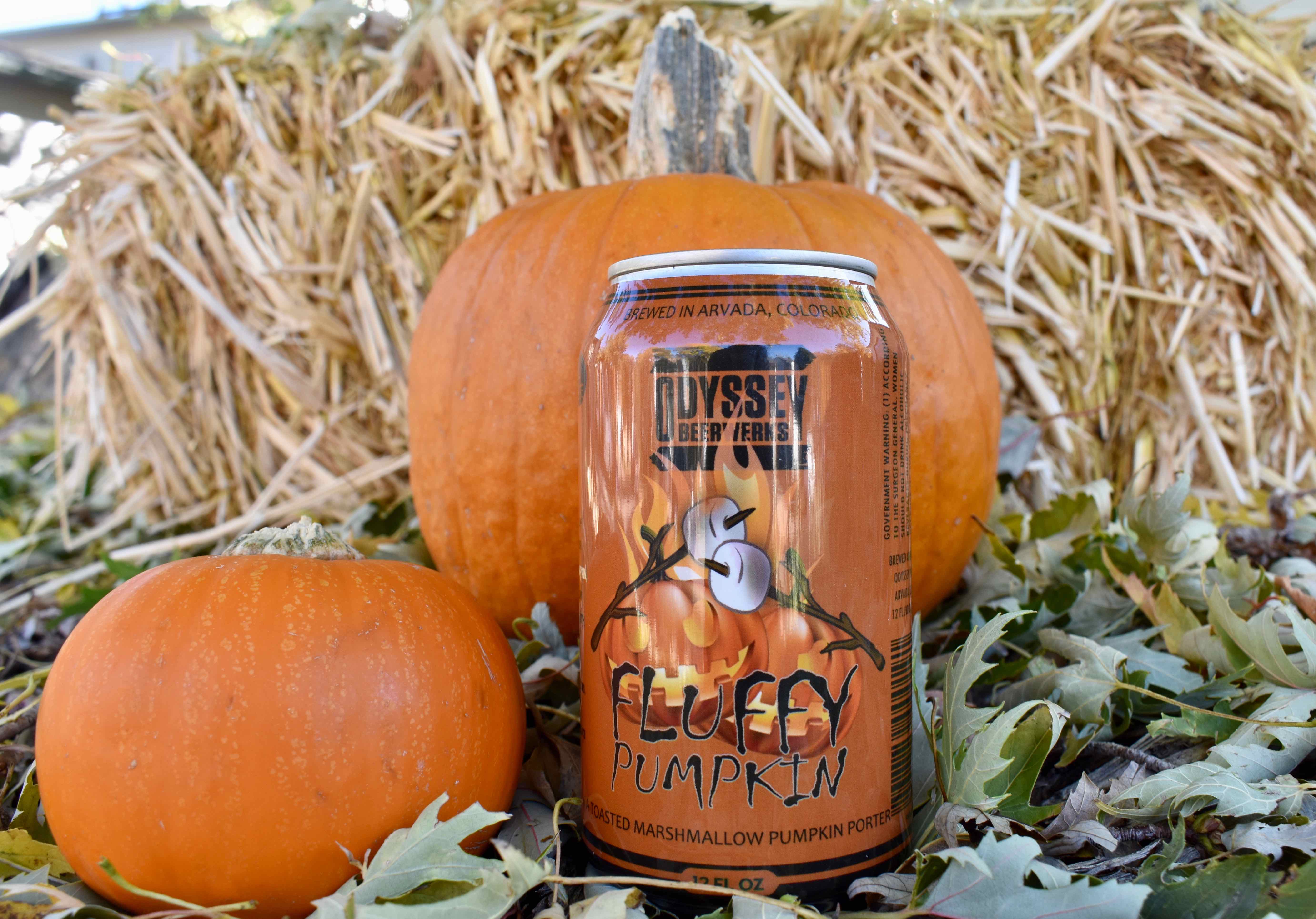 Beer, Craft Beer, Pumpkin Beer, Colorado Craft Beers, Not Your Basic Pumpkin Beers, 303 Magazine, Alysia Shoemaker, Photography by Alysia Shoemaker, Eddyline Brewery, New Belgium Brewing Company, 4 Noses Brewing Company, Copper Kettle Brewing Company, Avery Brewing Company, Odyssey Brewing Company, Fall Beers