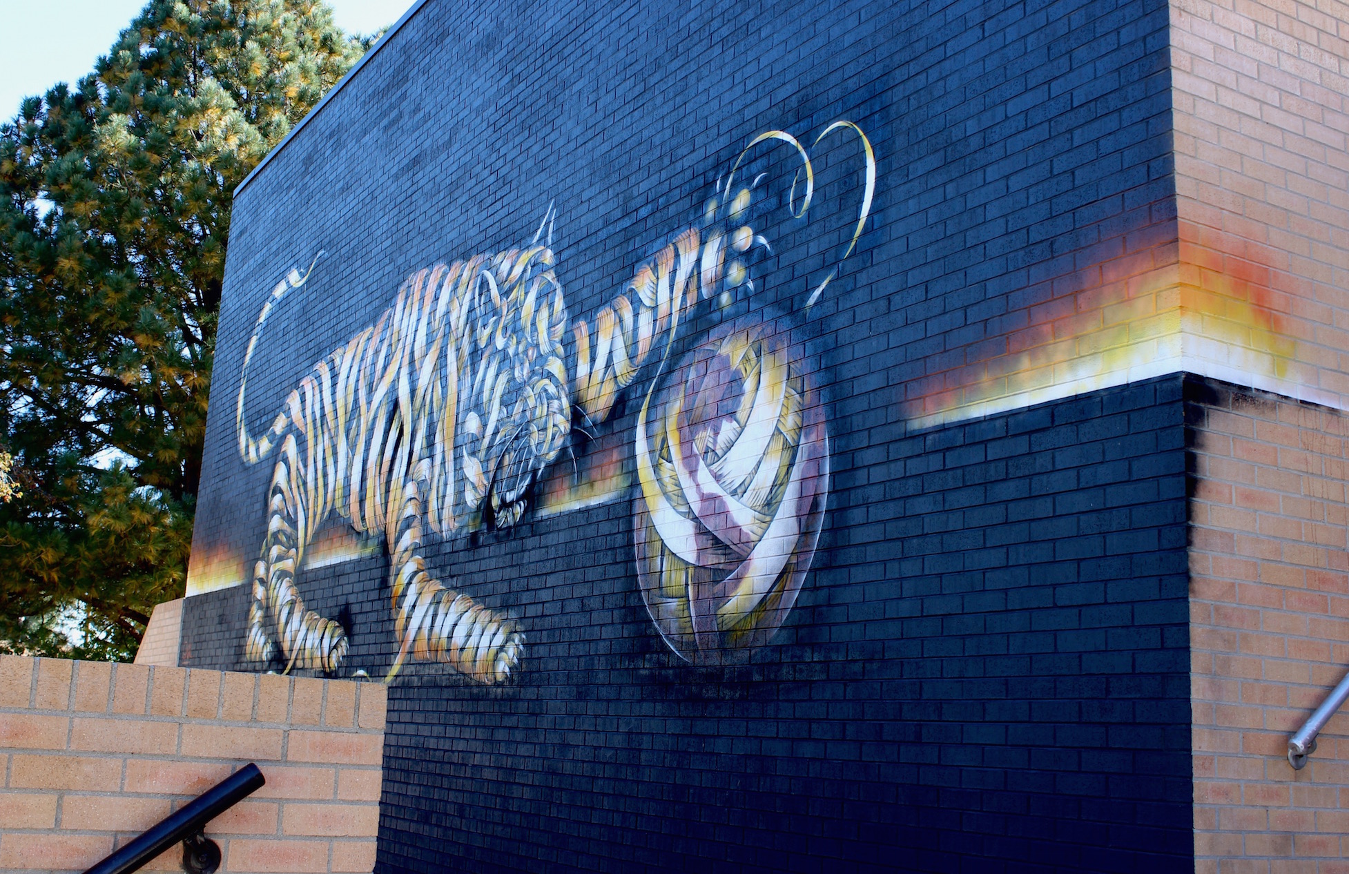 Otto Schade, Cori Anderson, 303 Magazine, Denver Murals, RAW Project Denver, art