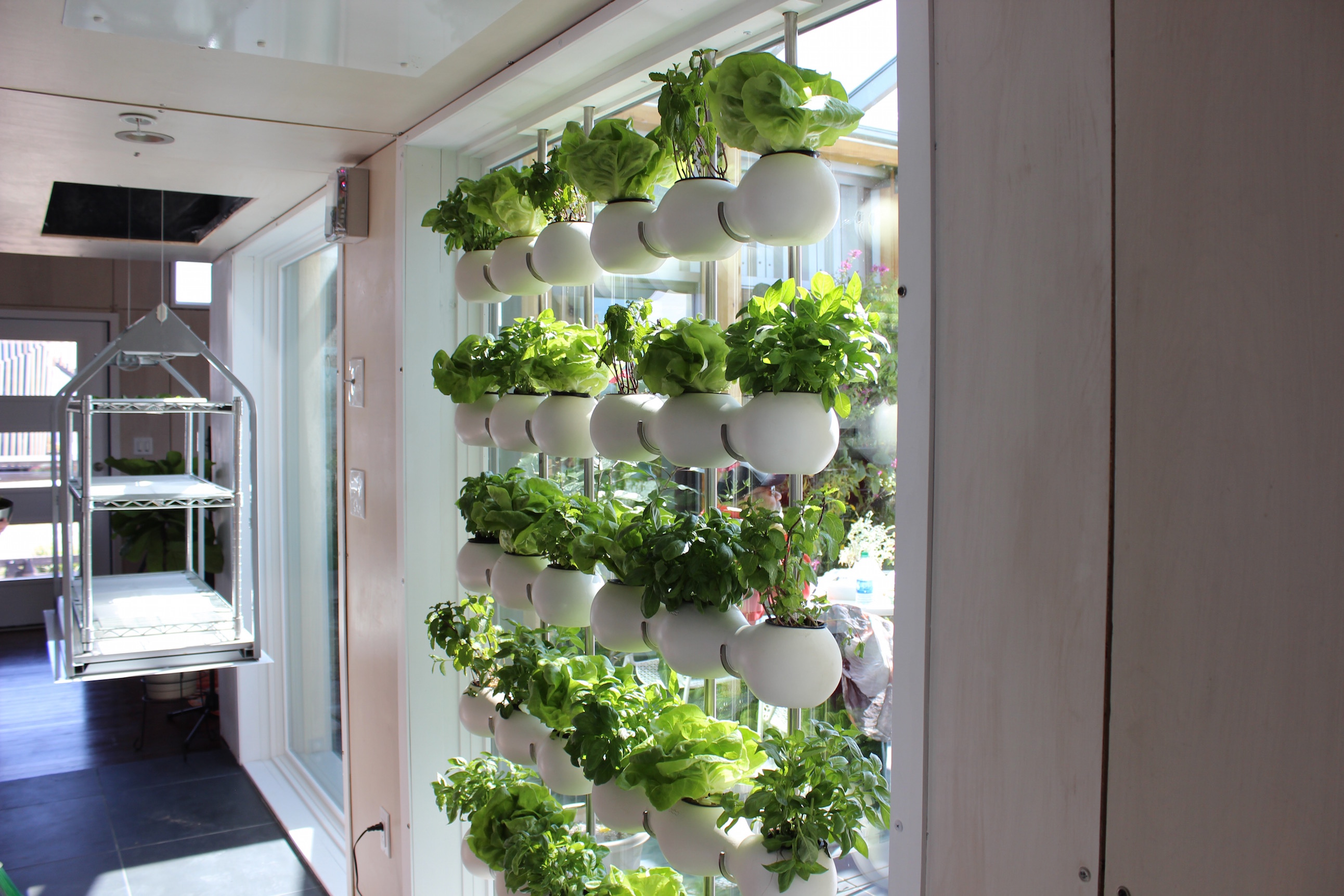 Photos Solar Decathlon Denver, Solar Decathlon 2017, Cori Anderson, 303 Magazine, Solar city denver