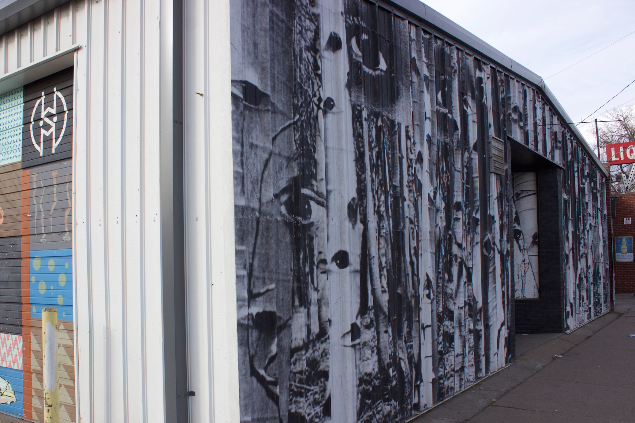 Cori Anderson, Koko Bayer, 303 Magazine, Denver Artists 2018