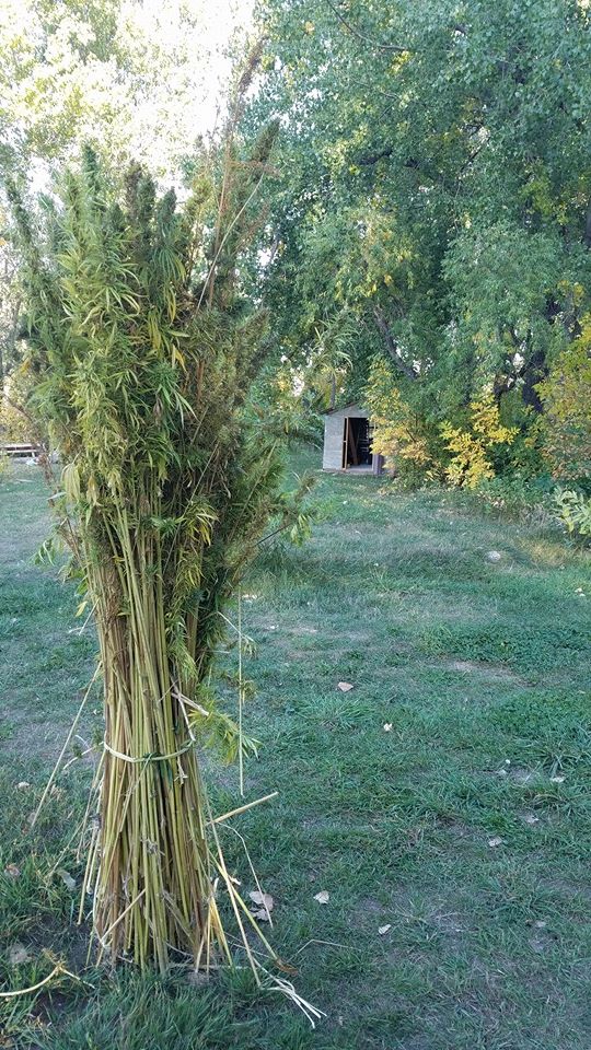 Colorado Hempcrete, Left Hand Hemp, 303 Magazine