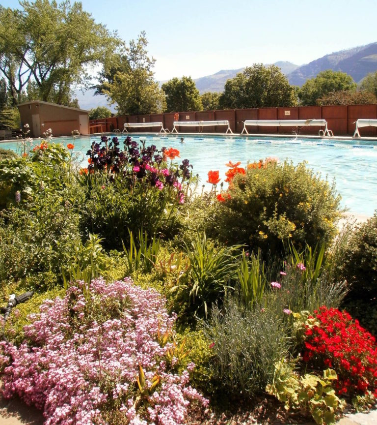 11 Hidden Hot Springs in Colorado You Should Probably Know About 303