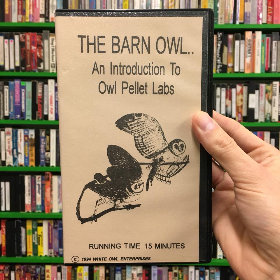 Found Footage Festival, Film Festival