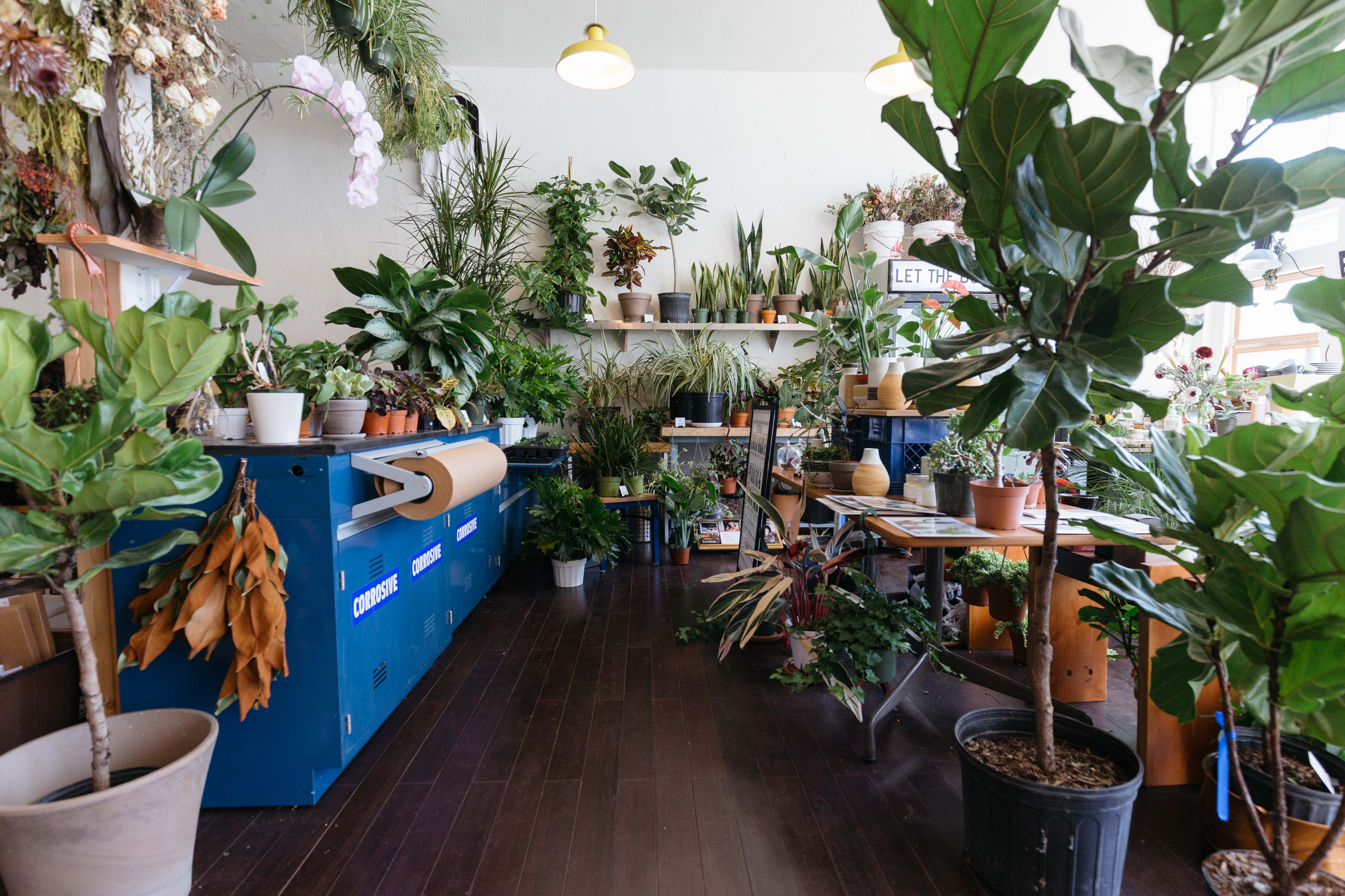 Lula Rose Branches out With a New Flower Shop Cafe on Colfax - 303 Magazine