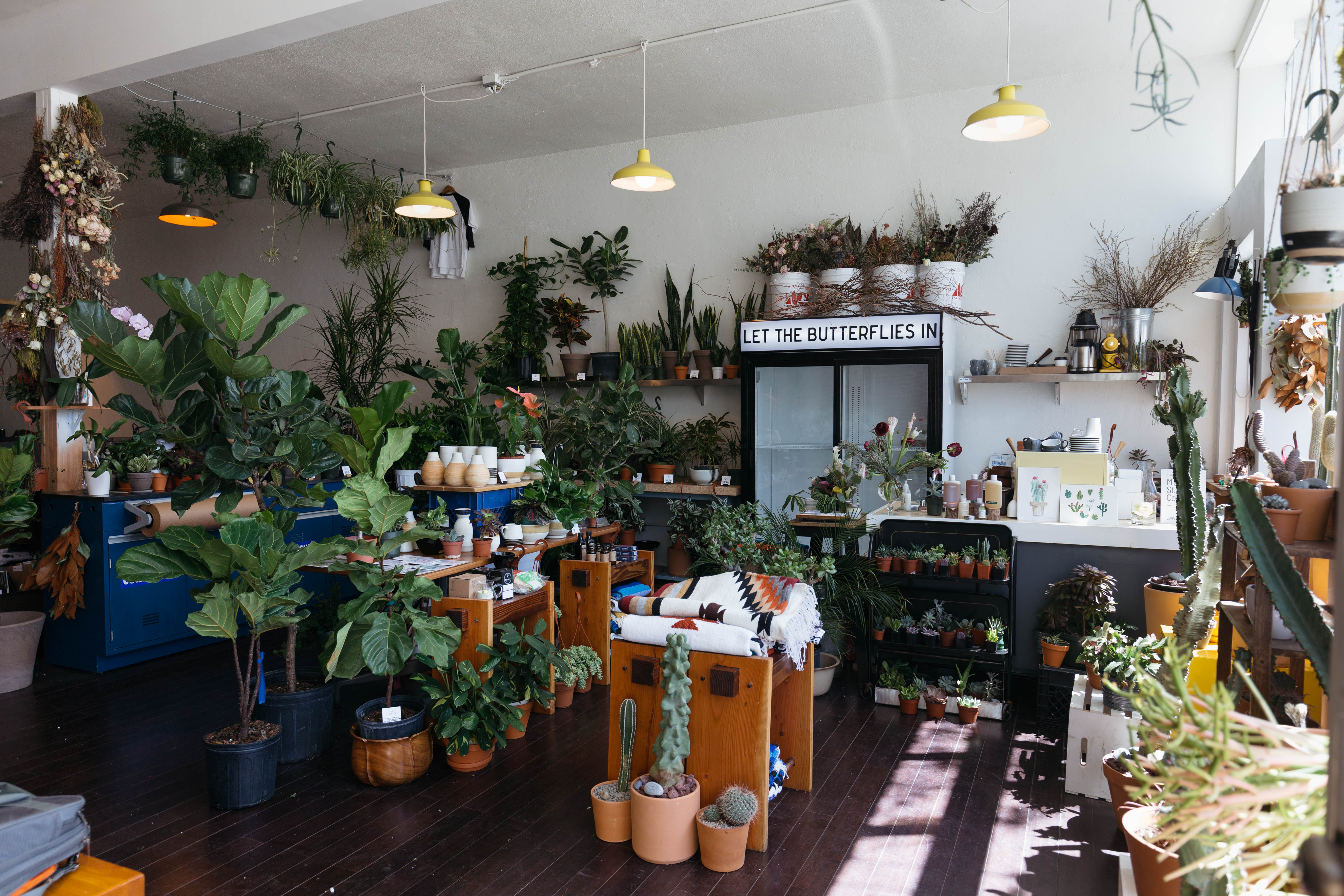 A GreenThumbed Guide to Denver�s Best Plant Stores 303
