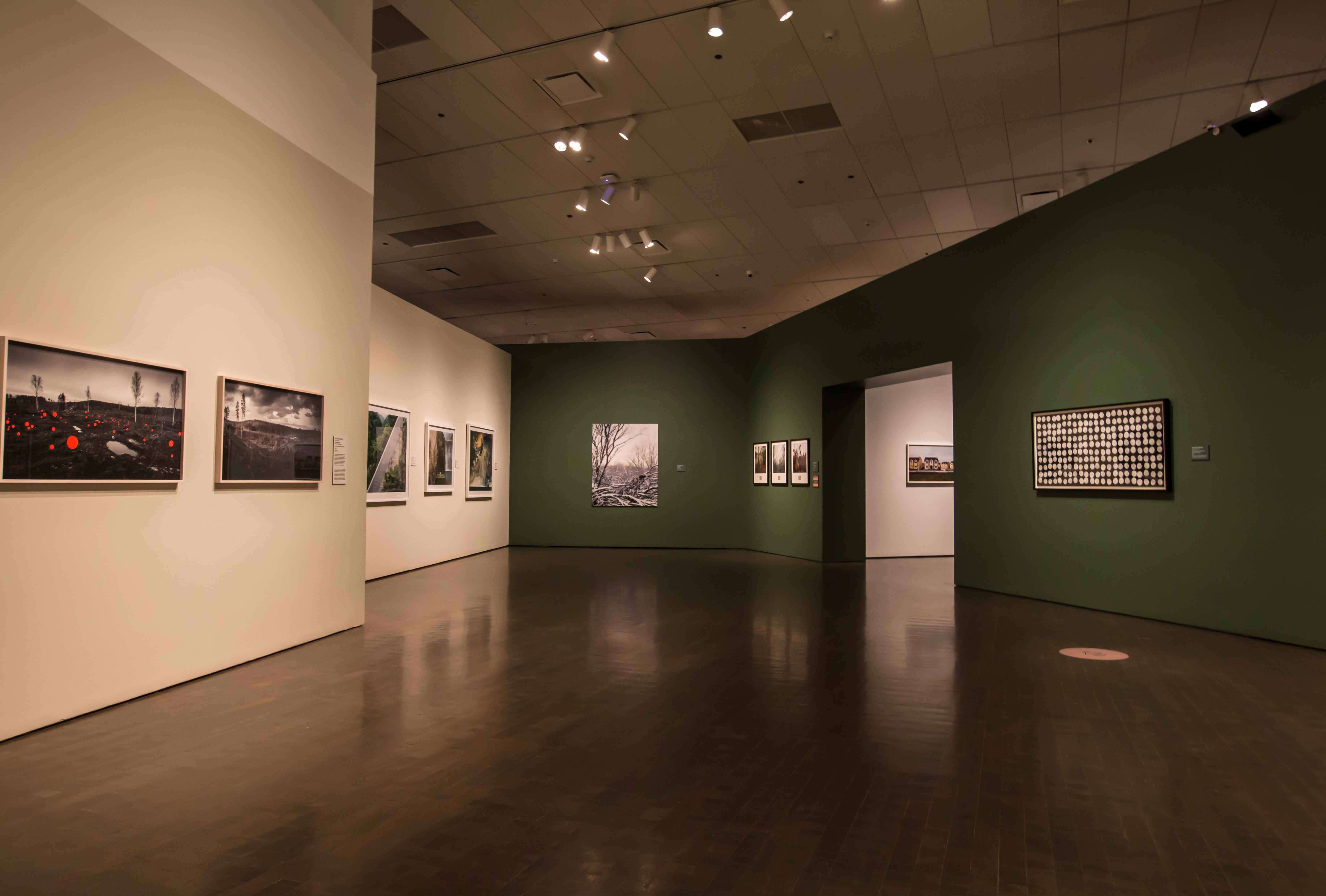 DAM, Denver Art Museum, Giacomo DiFranco, 303 Magazine, Landscape photography