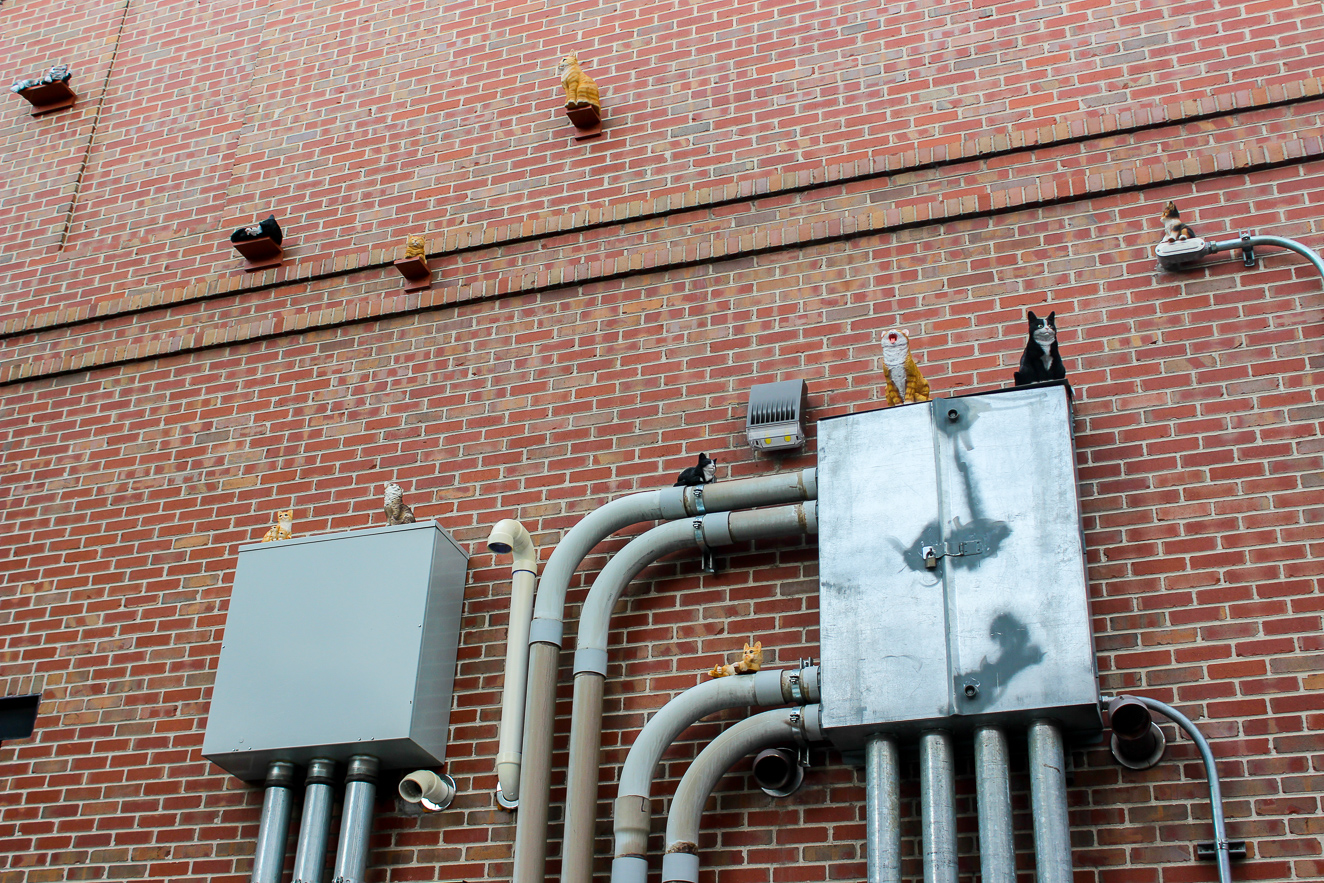 Downtown Alley, 16th Street Mall, Denver art, Happy City, 303 Magazine, Cori Anderson