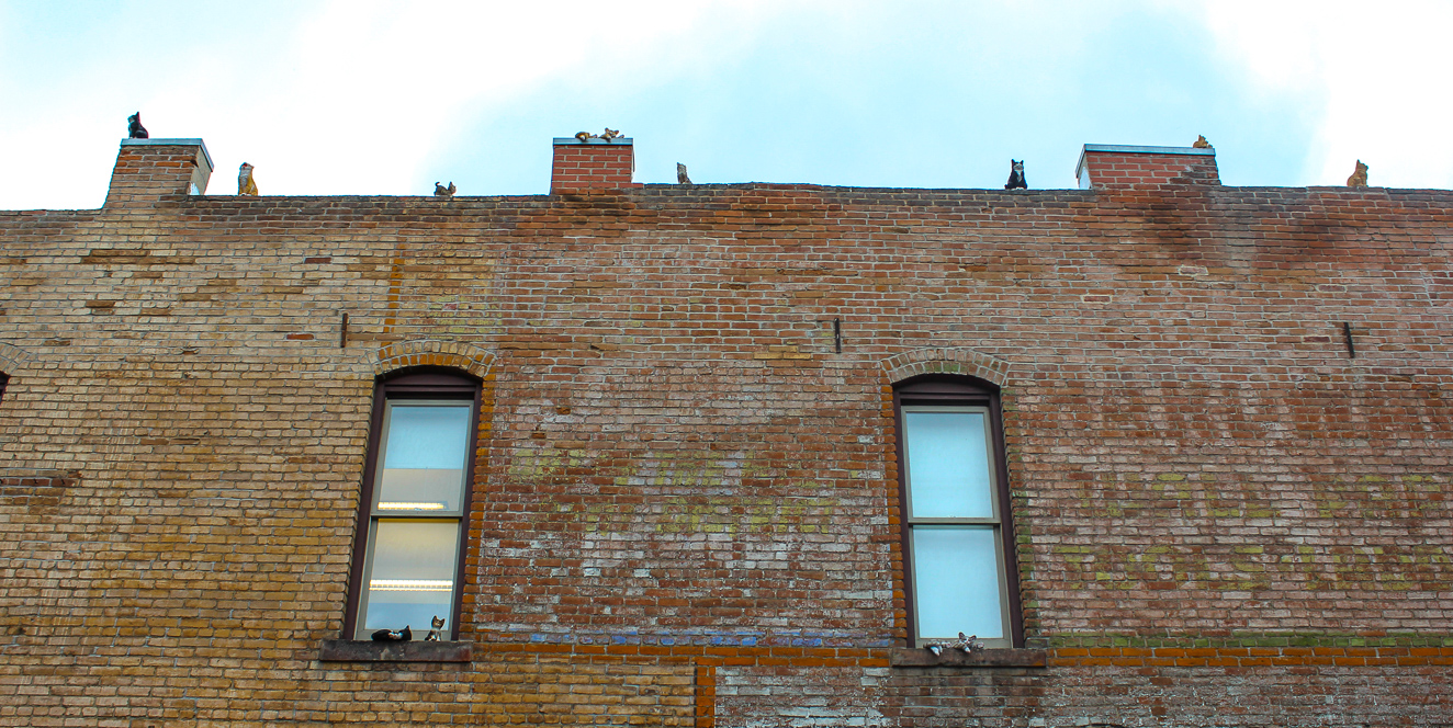 Downtown Alley, 16th Street Mall, Denver art, Happy City, 303 Magazine, Cori Anderson