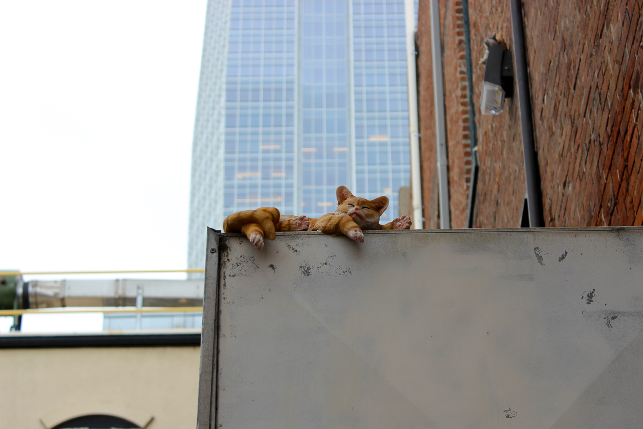 Downtown Alley, 16th Street Mall, Denver art, Happy City, 303 Magazine, Cori Anderson