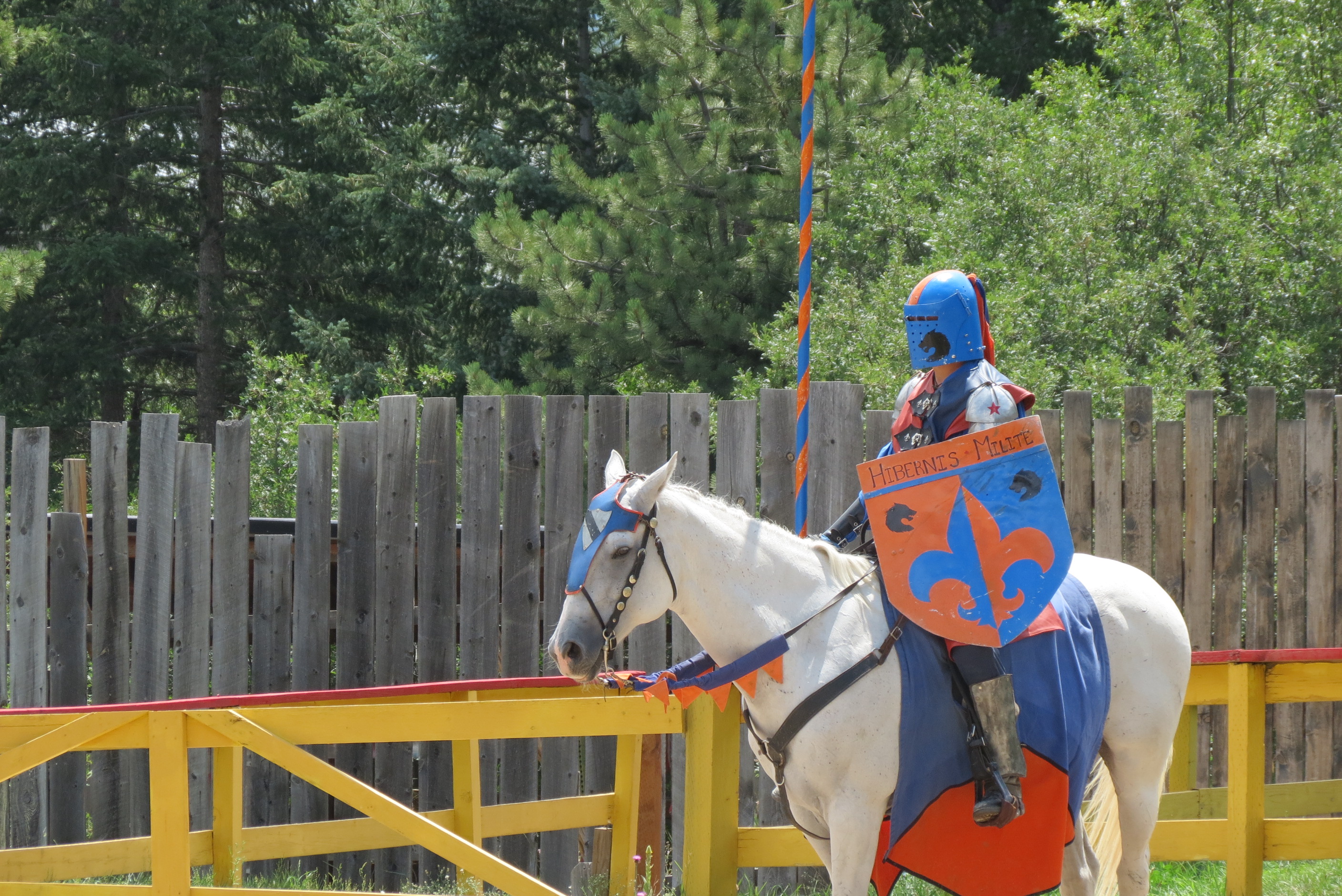 303, 303 magazine, sean lawlor, renaissance festival, colorado renaissance, jousting, celtic legacy, washing well wenches, larkspur, colorado events, village idiot, great cats world park, cast in bronze, jousting, chivalry, medieval