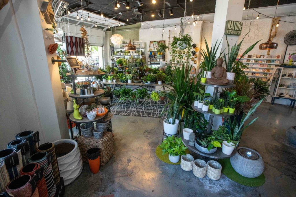 A GreenThumbed Guide to Denver's Best Plant Stores 303 Magazine