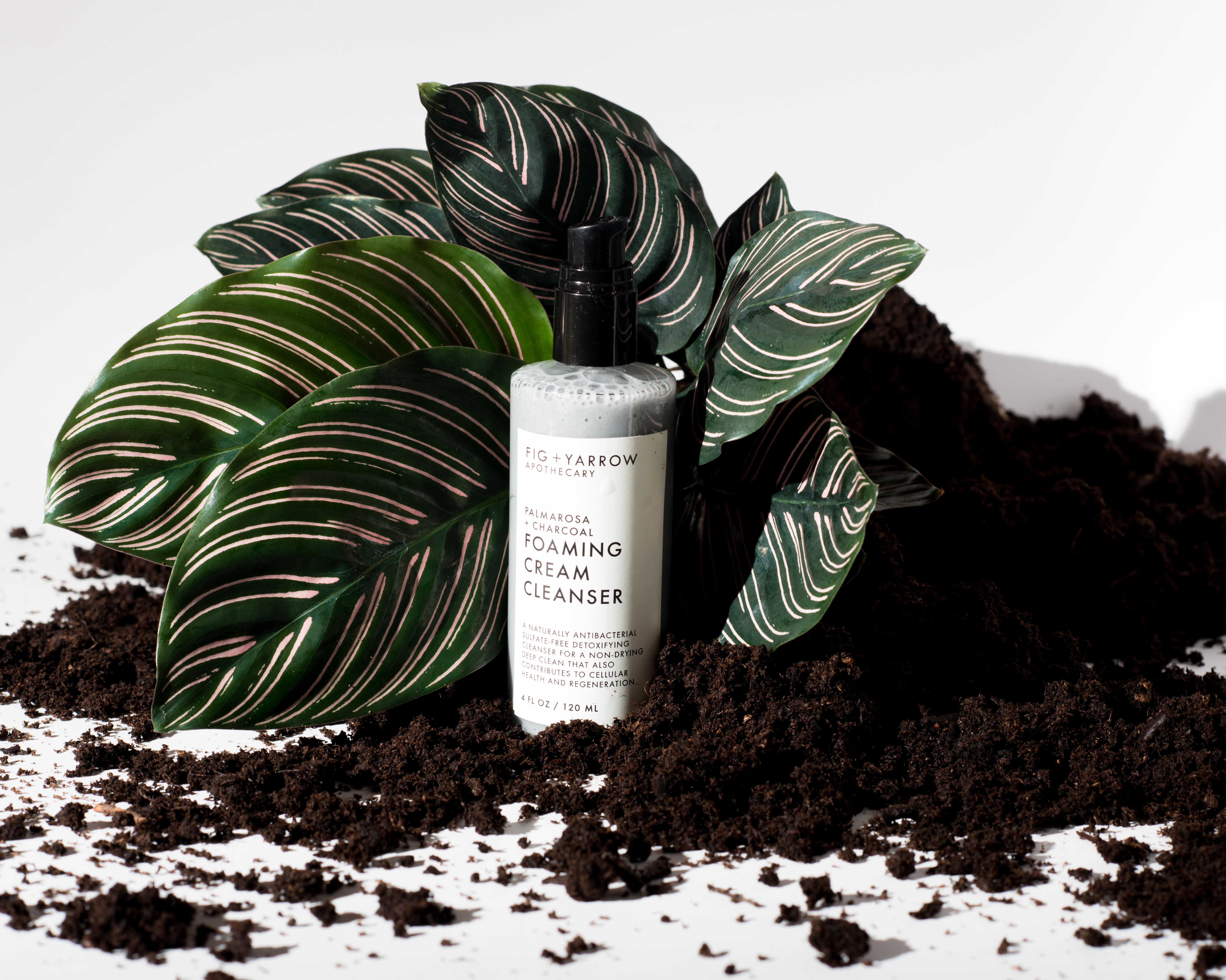 303, 303 Magazine, 303 Style, FIG+YARROW, Denver, Denver Beauty, Beauty, Natural, Target, Shopping, LoHi, Apothecary, Vivian Louthan, Brandy Monique, Meg O’Neill Photography